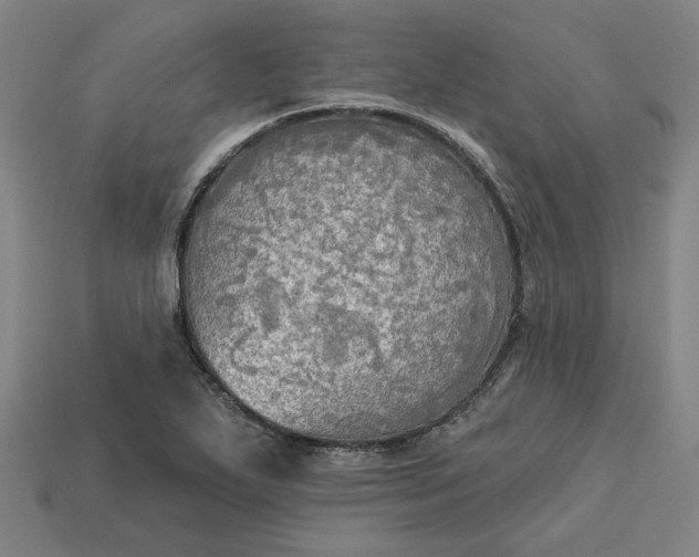 X0000113341271200910060950