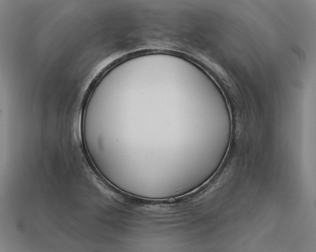 X0000113341272200910060950