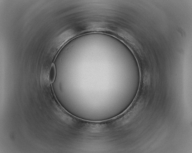 X0000113341273200910060950