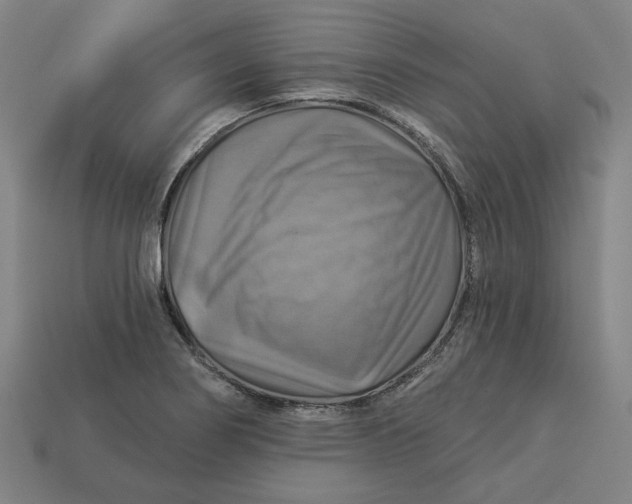 X0000113341274200910060950