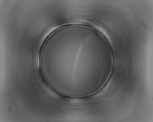 X0000113341275200910060950