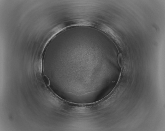 X0000113341276200910060950