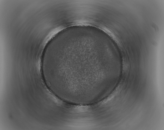 X0000113341277200910060950