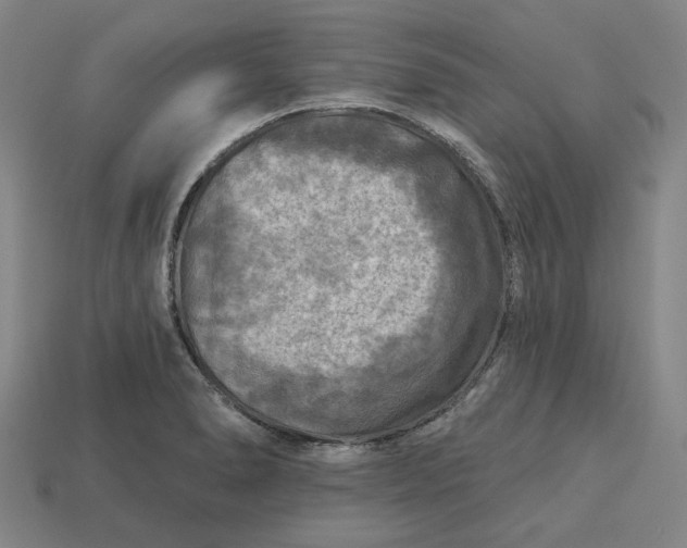 X0000113341278200910060950