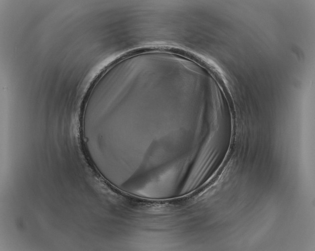 X0000113341279200910060950