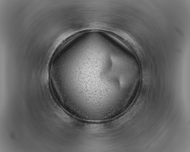 X0000113341280200910060950