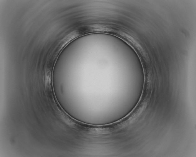 X0000113341281200910060950