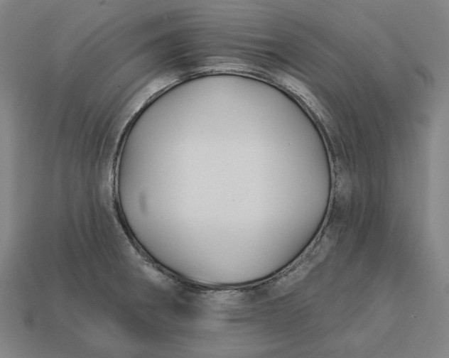 X0000113341282200910060950