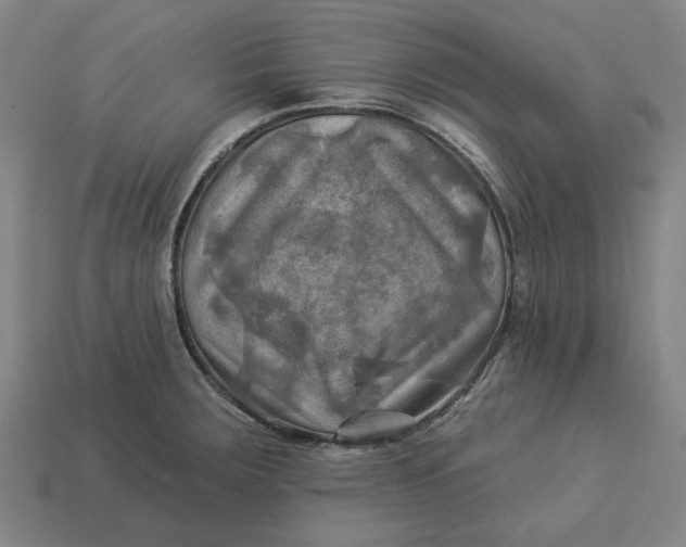 X0000113341283200910060950