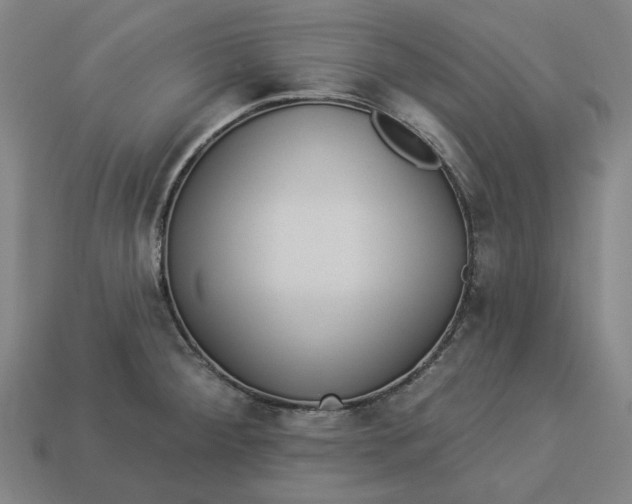 X0000113341284200910060950