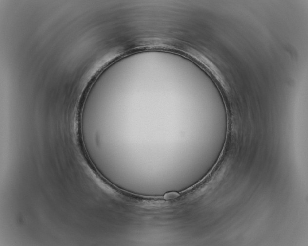 X0000113341285200910060950