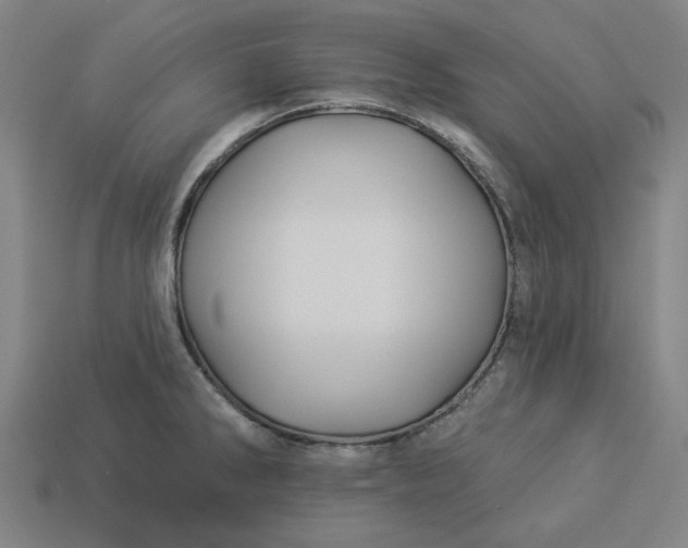 X0000113341286200910060950