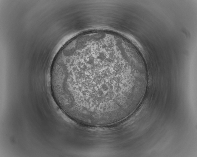 X0000113341287200910060950