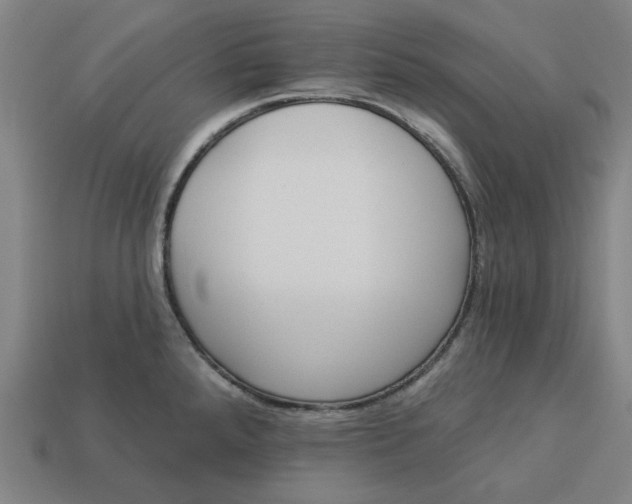 X0000113341288200910060950