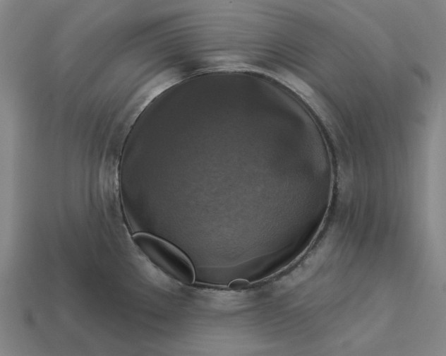 X0000113341289200910060950