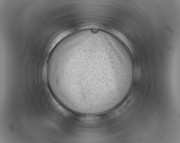 X0000113341290200910060950