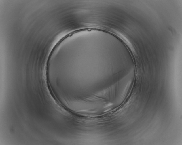 X0000113341291200910060950