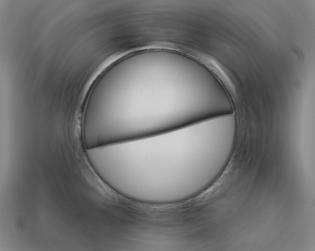 X0000113341292200910060950