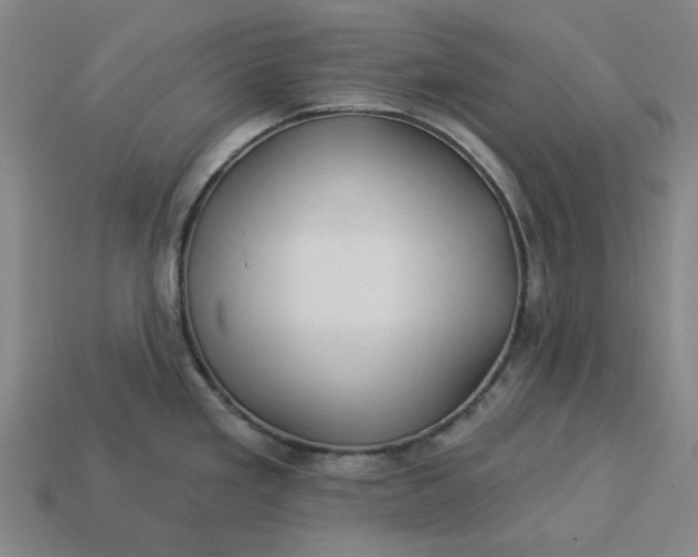 X0000113341293200910060950