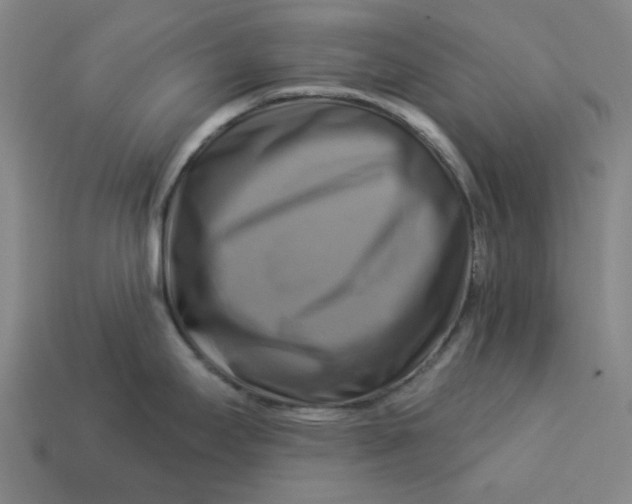 X0000113341295200910060950