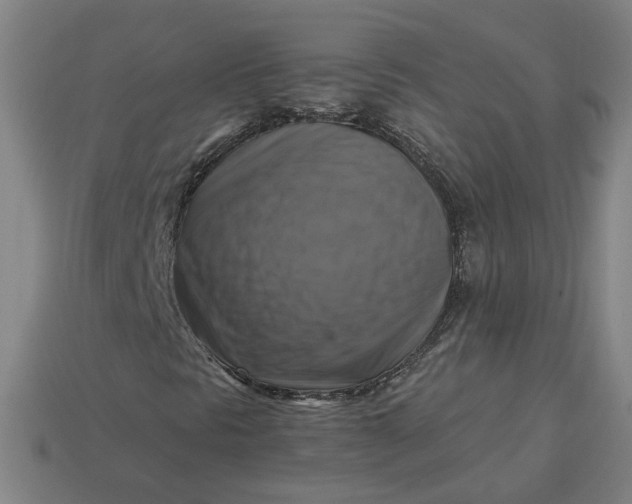 X0000113341297200910060949