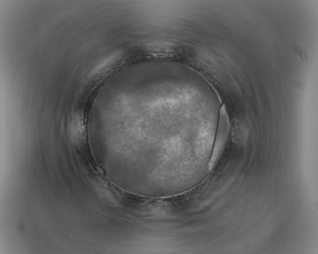 X0000113341298200910060949