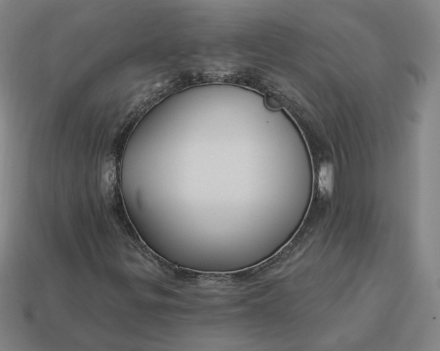 X0000113341299200910060949