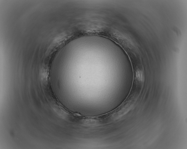 X0000113341300200910060949