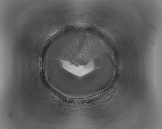 X0000113341301200910060949