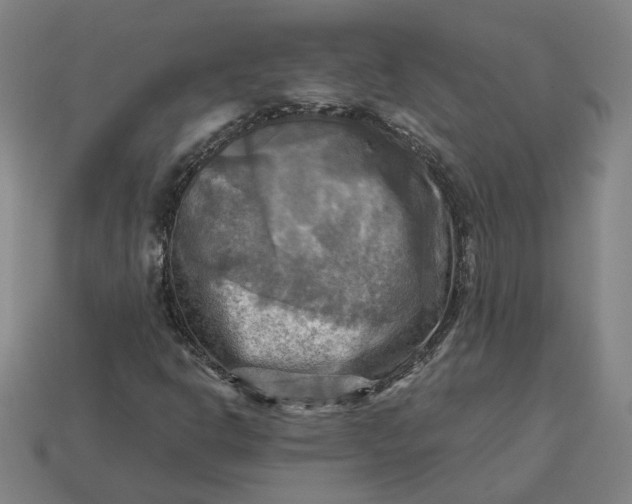 X0000113341302200910060949