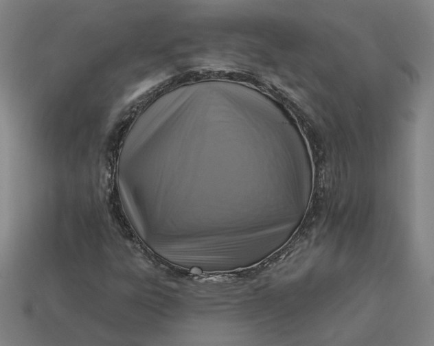 X0000113341303200910060949