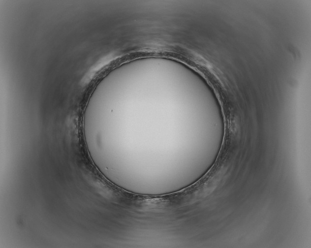 X0000113341304200910060949