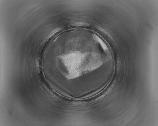 X0000113341305200910060949