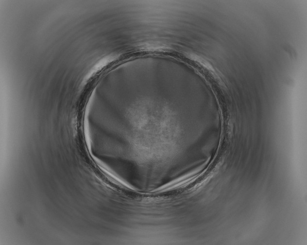 X0000113341306200910060949