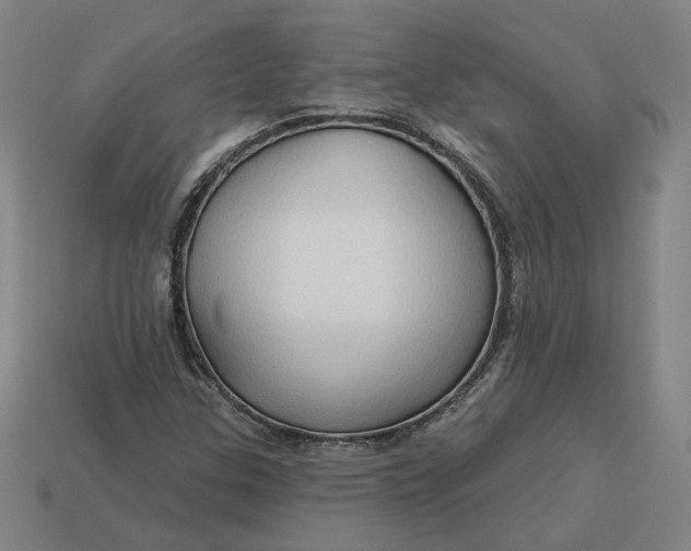 X0000113341307200910060949