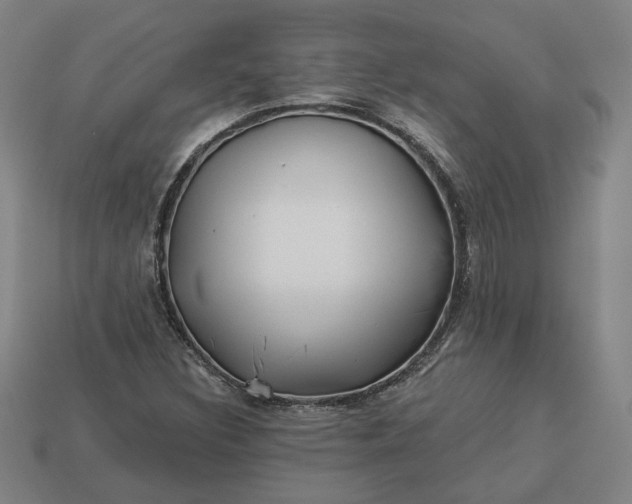 X0000113341308200910060949