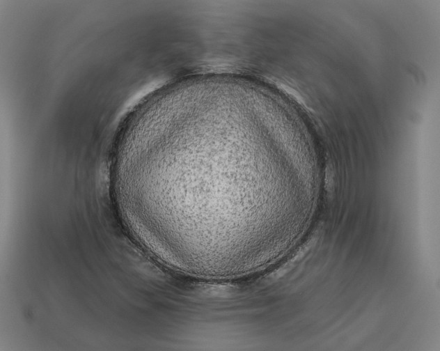 X0000113341309200910060949