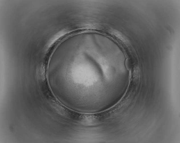 X0000113341310200910060949