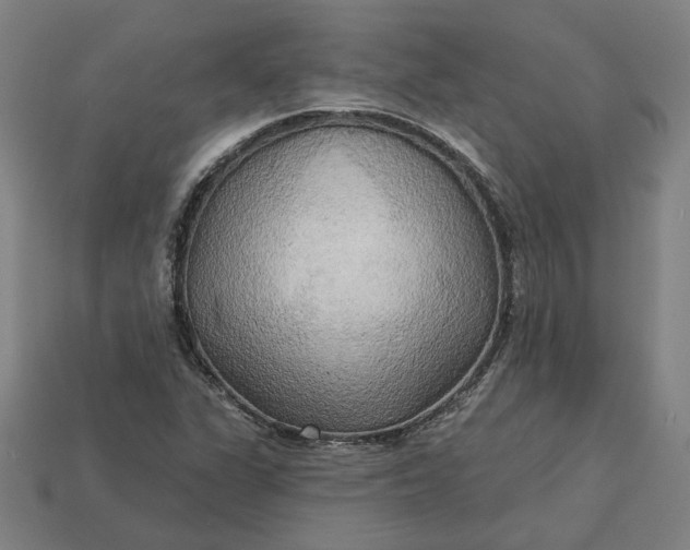 X0000113341311200910060949