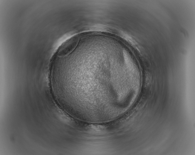 X0000113341312200910060949