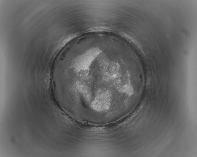 X0000113341313200910060949