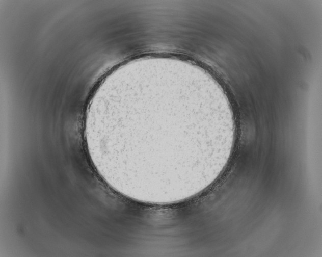 X0000113341314200910060949