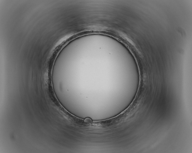 X0000113341315200910060949