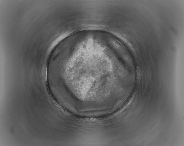 X0000113341317200910060949