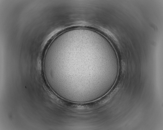 X0000113341318200910060949