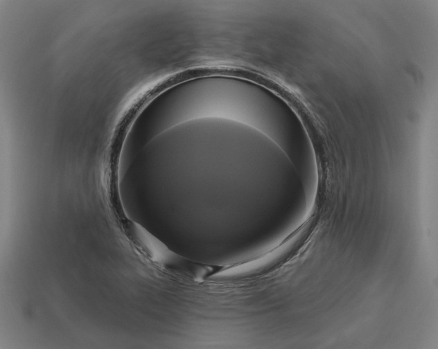 X0000113341319200910060949