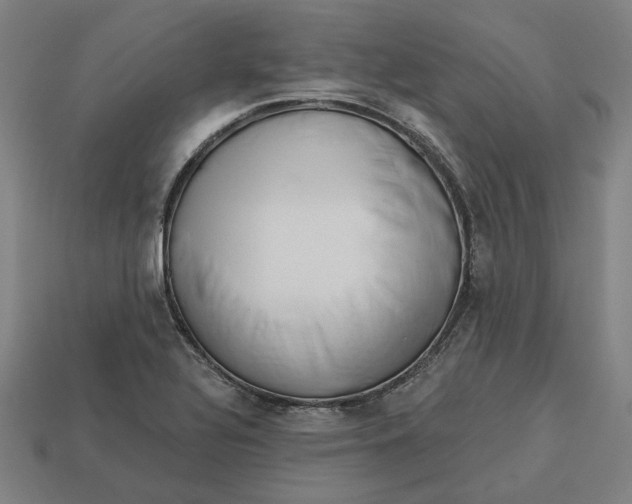 X0000113341320200910060949