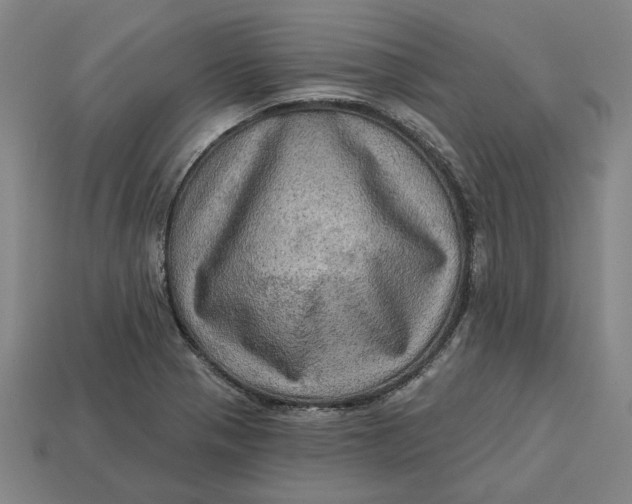 X0000113341321200910060949