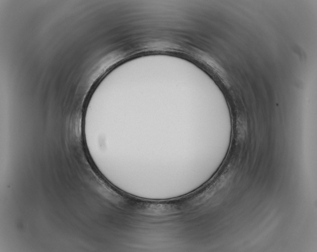 X0000113341322200910060949