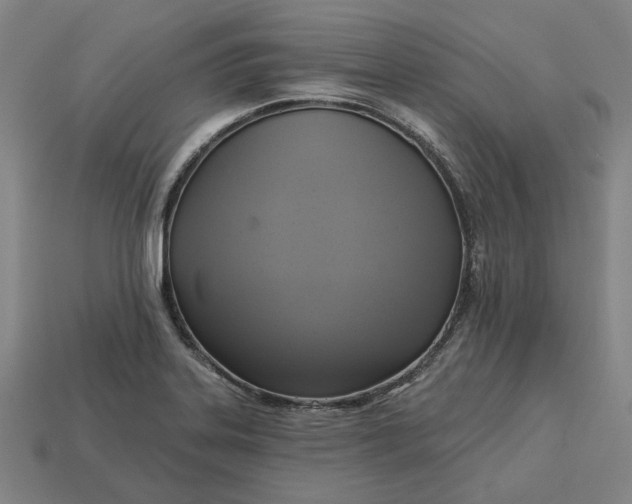 X0000113341323200910060949